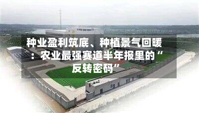 种业盈利筑底、种植景气回暖：农业最强赛道半年报里的“反转密码”
