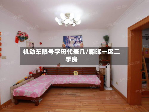 机动车限号字母代表几/朝晖一区二手房-第3张图片