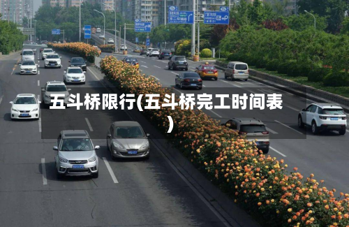 五斗桥限行(五斗桥完工时间表)
