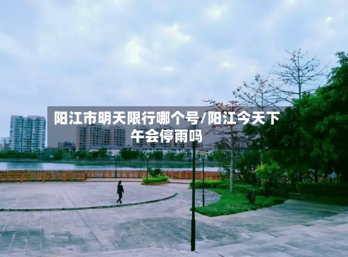 阳江市明天限行哪个号/阳江今天下午会停雨吗