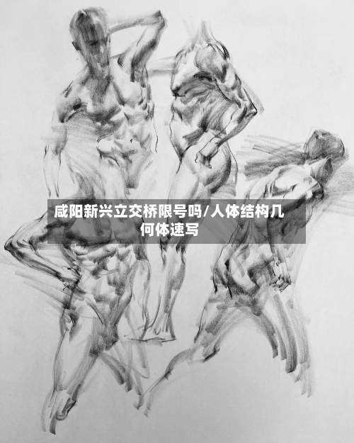 咸阳新兴立交桥限号吗/人体结构几何体速写