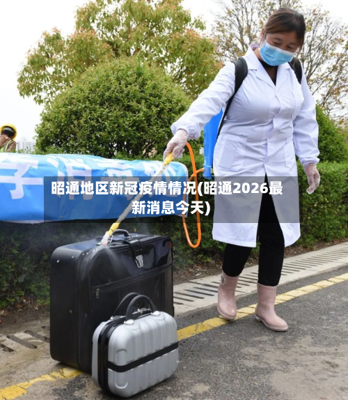 昭通地区新冠疫情情况(昭通2026最新消息今天)-第2张图片