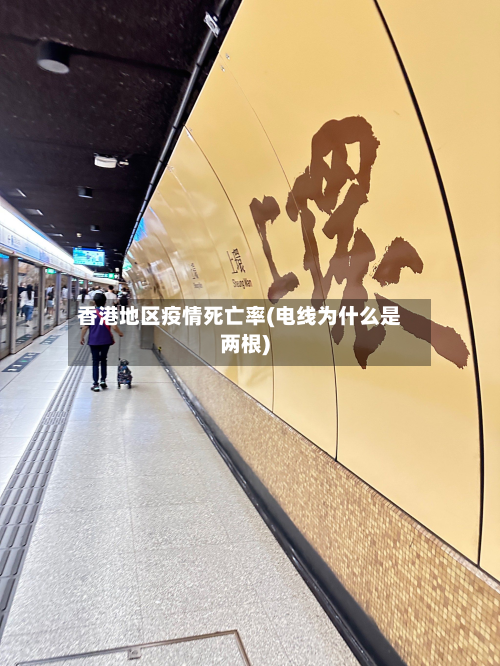 香港地区疫情死亡率(电线为什么是两根)-第2张图片
