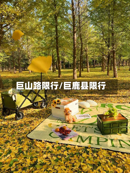 巨山路限行/巨鹿县限行