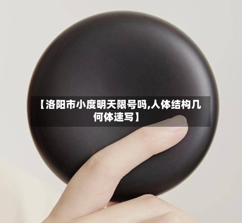 【洛阳市小度明天限号吗,人体结构几何体速写】