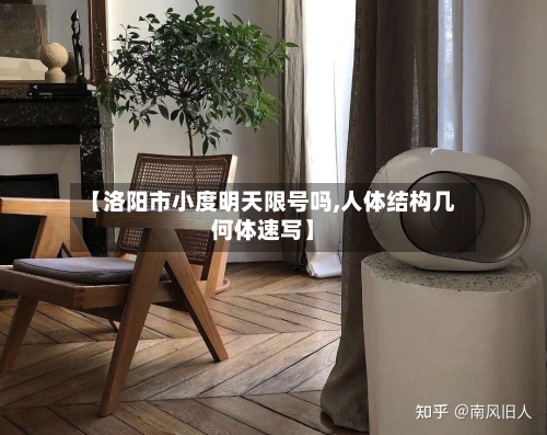 【洛阳市小度明天限号吗,人体结构几何体速写】-第3张图片