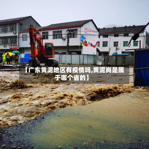【广东黄泥地区有疫情吗,黄泥岗是属于哪个省的】-第2张图片