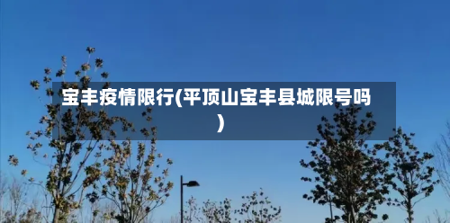 宝丰疫情限行(平顶山宝丰县城限号吗)