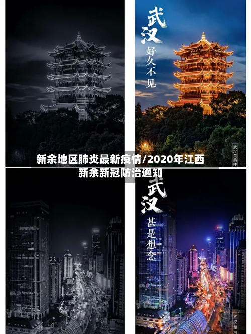 新余地区肺炎最新疫情/2020年江西新余新冠防治通知-第2张图片