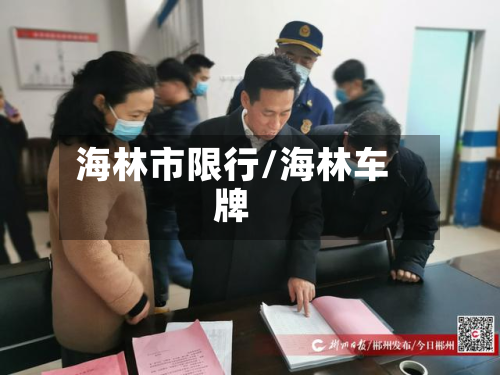 海林市限行/海林车牌