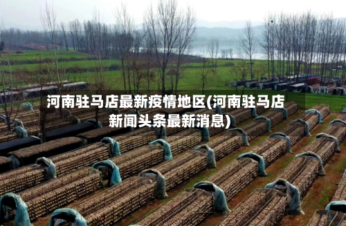 河南驻马店最新疫情地区(河南驻马店新闻头条最新消息)