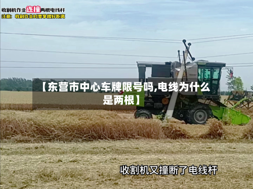 【东营市中心车牌限号吗,电线为什么是两根】
