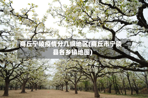 商丘宁陵疫情分几级地区(商丘市宁陵县各乡镇地图)-第2张图片
