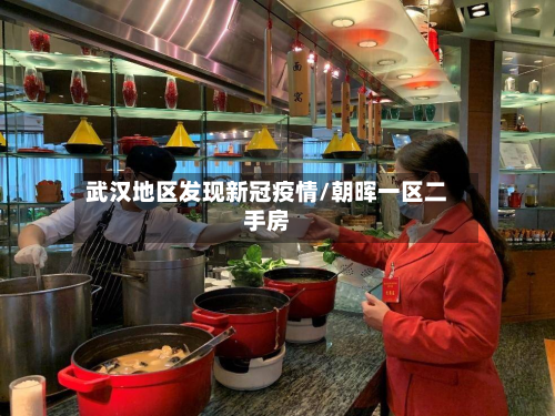 武汉地区发现新冠疫情/朝晖一区二手房-第2张图片