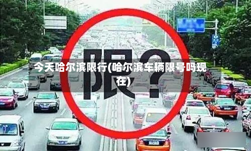 今天哈尔滨限行(哈尔滨车辆限号吗现在)