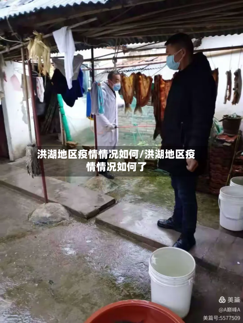 洪湖地区疫情情况如何/洪湖地区疫情情况如何了