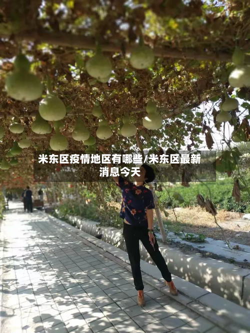 米东区疫情地区有哪些/米东区最新消息今天-第2张图片