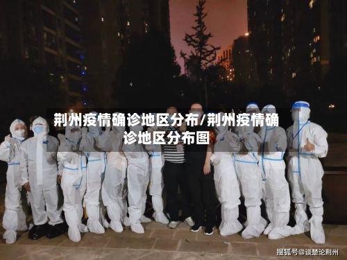 荆州疫情确诊地区分布/荆州疫情确诊地区分布图