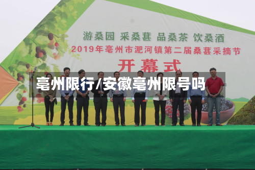 亳州限行/安徽亳州限号吗-第2张图片