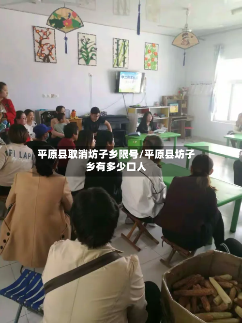 平原县取消坊子乡限号/平原县坊子乡有多少口人