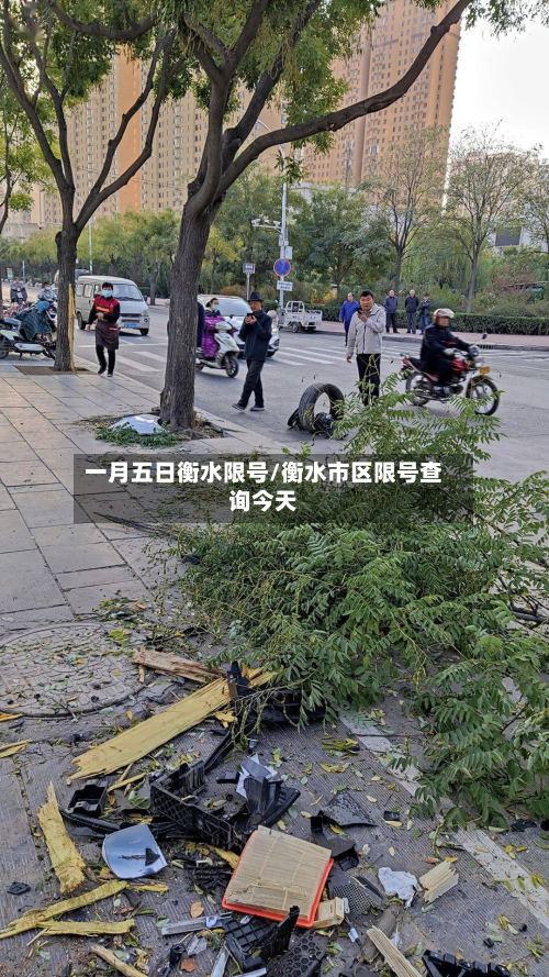 一月五日衡水限号/衡水市区限号查询今天-第2张图片