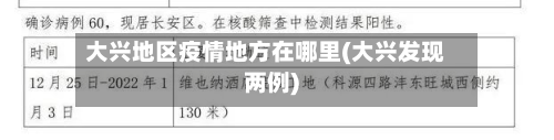 大兴地区疫情地方在哪里(大兴发现两例)-第3张图片