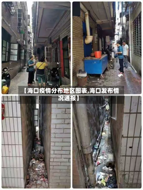 【海口疫情分布地区图表,海口发布情况通报】