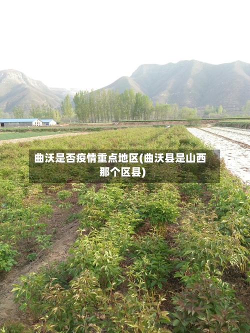 曲沃是否疫情重点地区(曲沃县是山西那个区县)-第2张图片
