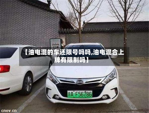 【油电混的车还限号吗吗,油电混合上牌有限制吗】-第2张图片