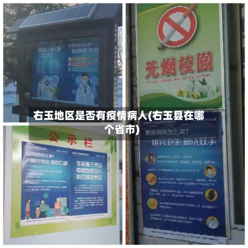 右玉地区是否有疫情病人(右玉县在哪个省市)