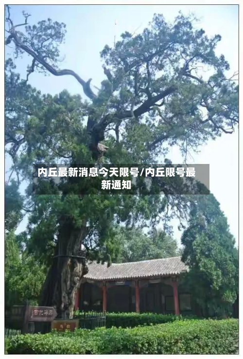 内丘最新消息今天限号/内丘限号最新通知-第2张图片