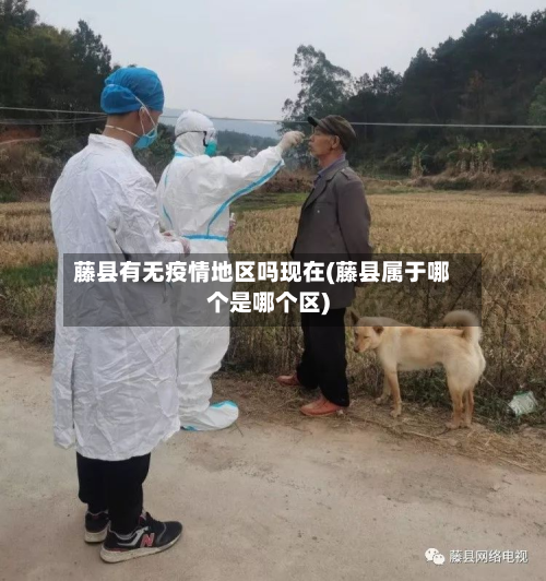 藤县有无疫情地区吗现在(藤县属于哪个是哪个区)