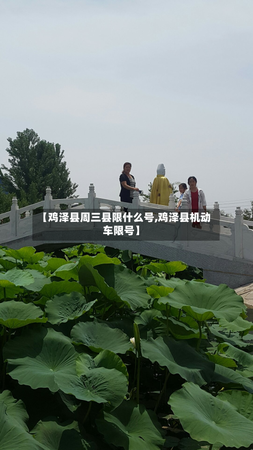 【鸡泽县周三县限什么号,鸡泽县机动车限号】