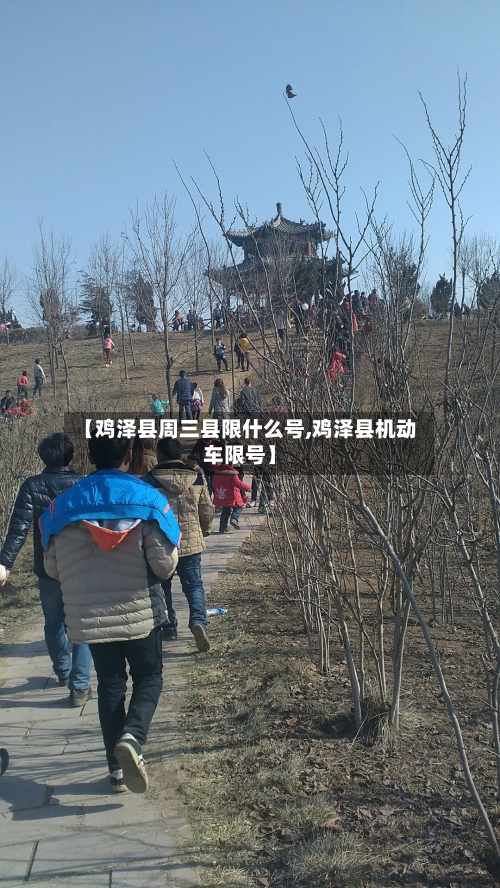 【鸡泽县周三县限什么号,鸡泽县机动车限号】-第2张图片