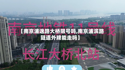 【南京浦逸路大桥限号吗,南京浦滨路隧道外牌能走吗】-第2张图片