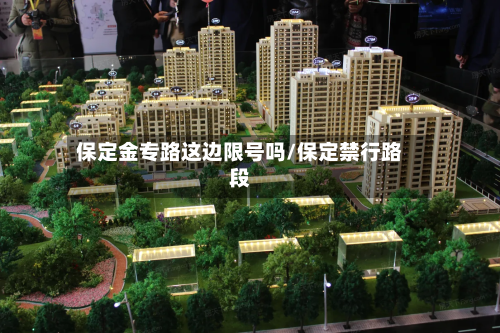 保定金专路这边限号吗/保定禁行路段-第2张图片