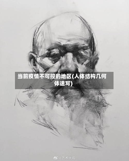 当前疫情不可控的地区(人体结构几何体速写)