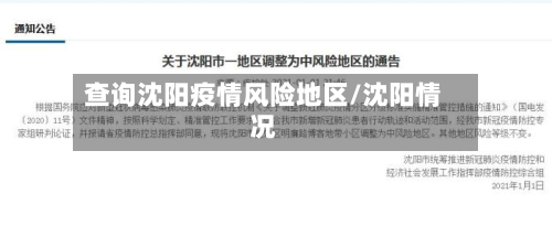 查询沈阳疫情风险地区/沈阳情况-第2张图片