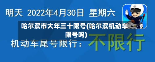 哈尔滨市大年三十限号(哈尔滨机动车限号吗)-第3张图片