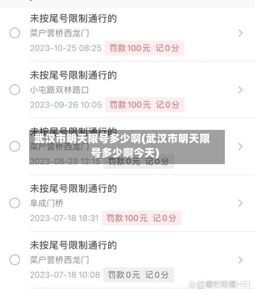 武汉市明天限号多少啊(武汉市明天限号多少啊今天)