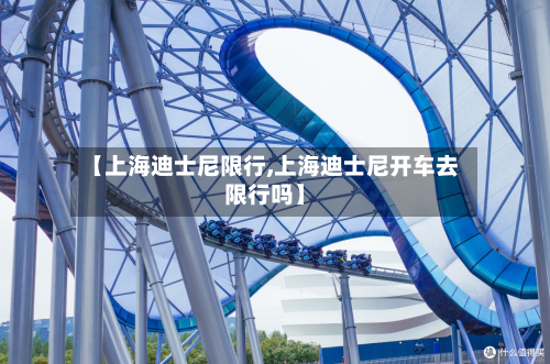【上海迪士尼限行,上海迪士尼开车去限行吗】-第2张图片