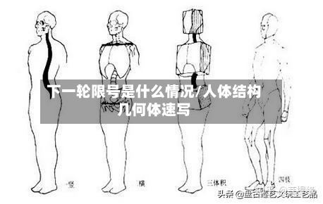 下一轮限号是什么情况/人体结构几何体速写-第2张图片