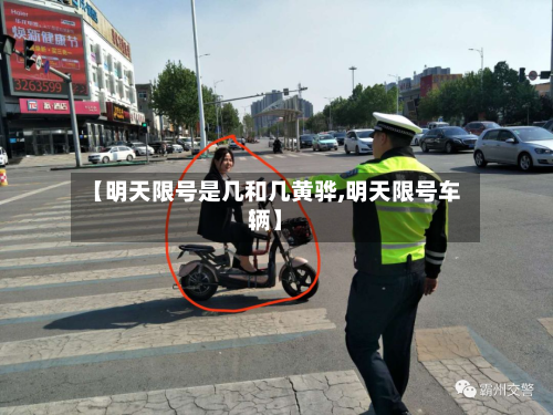 【明天限号是几和几黄骅,明天限号车辆】-第2张图片