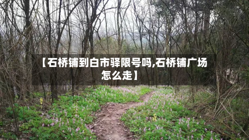 【石桥铺到白市驿限号吗,石桥铺广场怎么走】-第2张图片