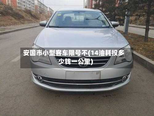 安国市小型客车限号不(14油耗投多少钱一公里)-第2张图片