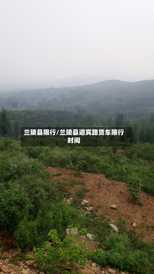 兰陵县限行/兰陵县迎宾路货车限行时间