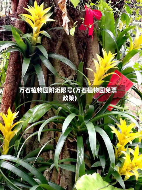 万石植物园附近限号(万石植物园免票政策)