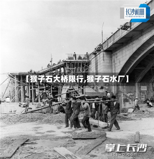 【猴子石大桥限行,猴子石水厂】