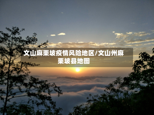文山麻栗坡疫情风险地区/文山州麻栗坡县地图-第2张图片