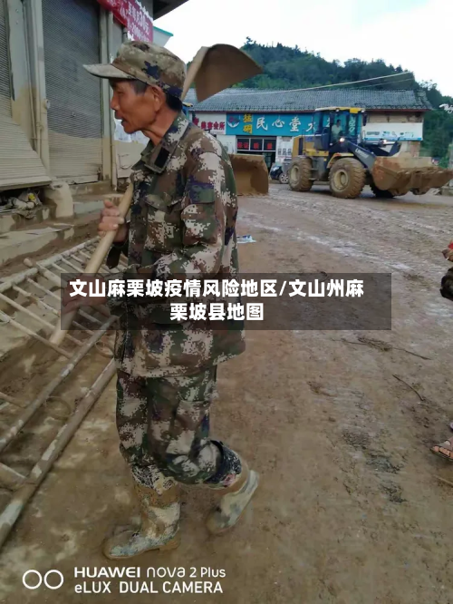 文山麻栗坡疫情风险地区/文山州麻栗坡县地图
